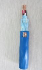 DJYPVP計算機(jī)電纜_IA-DJYP2VP2本安型計算機(jī)電纜